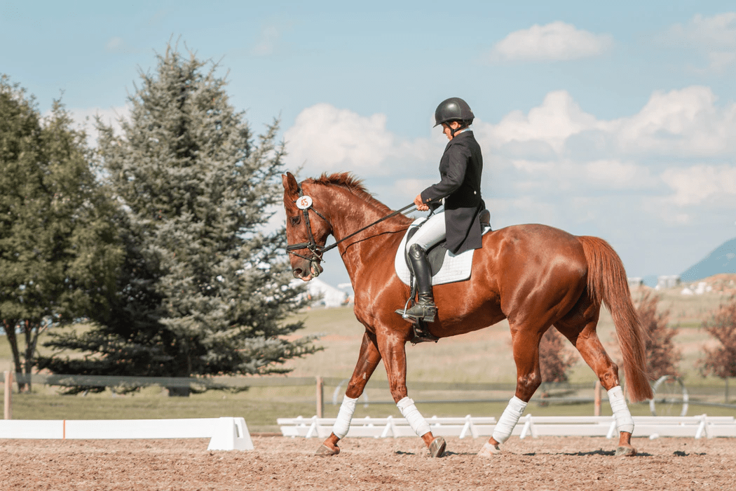 woman-riding-brown-horse-during-daytime